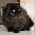Katherine Koser's profile image