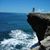 Sherry Kraft Kelly's profile image