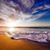 Ashley Staubus Click's profile image