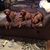 Kippie Ann Glosser's profile image