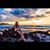 Colette Rose Udvardy's profile image