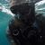 Forrest Ward Fleishauer's profile image