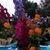 Nancy Mitchell Heale's profile image