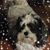 Sandy Fischer Hill's profile image
