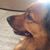 Debbie Repp's profile image