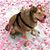 Debbie Delabar Dixon's profile image