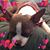 Laurie Beimborn's profile image