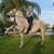 Jitka Markova's profile image