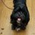 Jean King's profile image