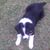 Chip Adams's profile image