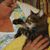 Eve Whorton Williams's profile image