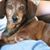 Tracy Bone's profile image