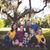 Mary Beth Geglia Allison's profile image