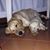 Jose Rafael Mendoza Aponte's profile image