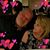 Julie Jackson's profile image