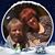 Laura J Lynch's profile image