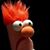 Stephen Cappello's profile image