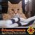 Jim Woodfin's profile image