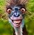 Lia Hitchcock's profile image