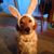 Janet Ballantyne's profile image
