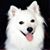 Sandy Michael's profile image