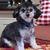 Linda Robbins Auteri's profile image