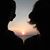 Sandi Sealy's profile image