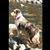Dixie Knapp Warner's profile image