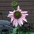Bridget Wellman's profile image