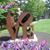 Margaret Christie Daum's profile image