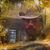 Valentin Hernandez's profile image