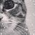 Martha Hughes's profile image