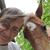 Tamala Ballou's profile image