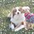 Donna Berry's profile image