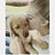 Rachel Maisy Murray's profile image