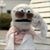 Hayward Campbell's profile image