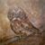 Cheryl Spitale Jones's profile image