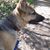 Gunther Farquar's profile image