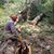 Sharon-Mayrell Cook's profile image