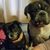 Margaret Bernardi-Mikita's profile image