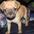 Coco Minich's profile image