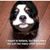 Christina Contino's profile image