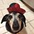 Tracey Achenbach's profile image