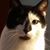 Yvonne Hendrickson's profile image