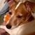 Mary Ellen Burch's profile image