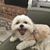 Lynn E Miller's profile image