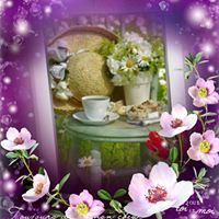 June Spinella Wells's profile image
