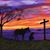 Coreen Witt Huff's profile image