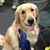 Debbie DuPont's profile image