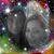 Teresa Mary's profile image